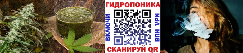 Купить закладки  Навашино  Canna-Cookies конопля 