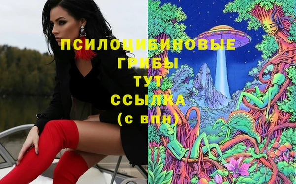 Альфа ПВП Дмитровск