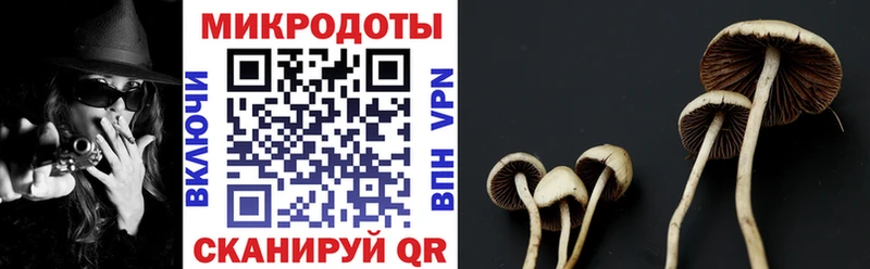 Псилоцибиновые грибы мицелий Навашино